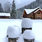 терношорська лада