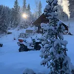терношорська лада