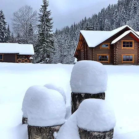 терношорська лада