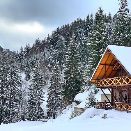 терношорська лада Ferienhaus *