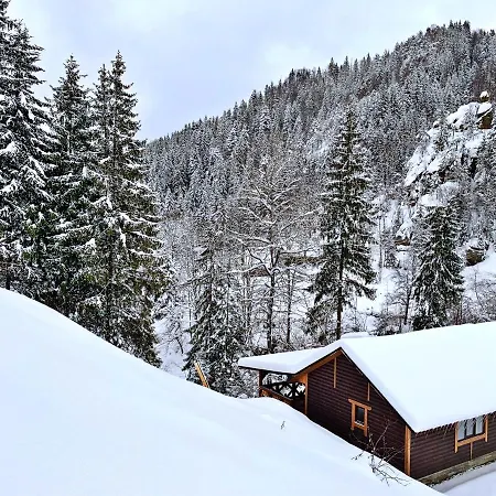 терношорська лада Ferienhaus