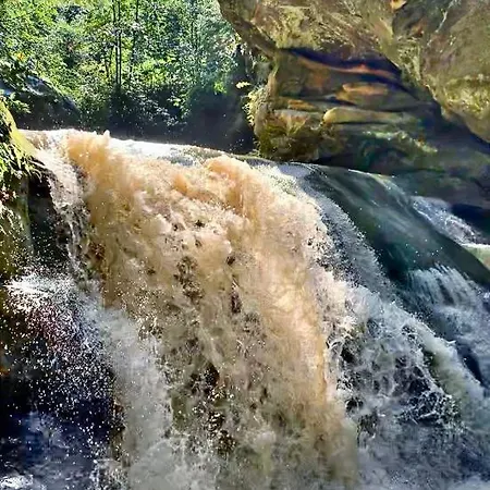 терношорська лада *