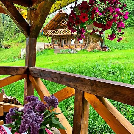 терношорська лада *