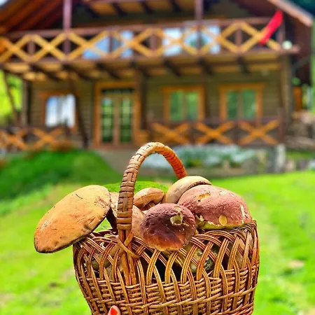терношорська лада Vakantiehuis *