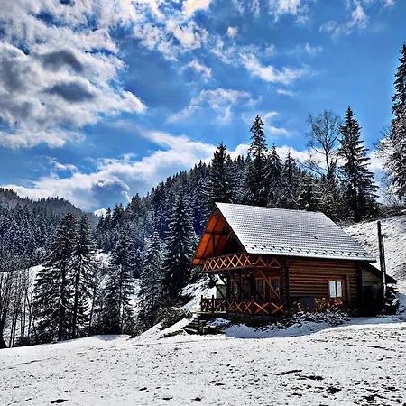 Ferienhaus терношорська лада
