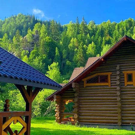 терношорська лада *