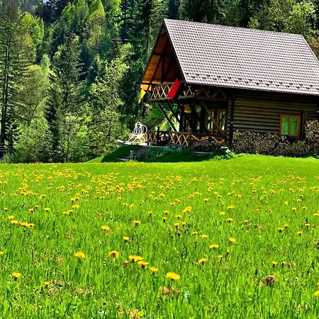 Ferienhaus терношорська лада Snidavka