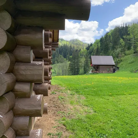 терношорська лада