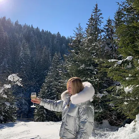 Ferienhaus терношорська лада Snidavka