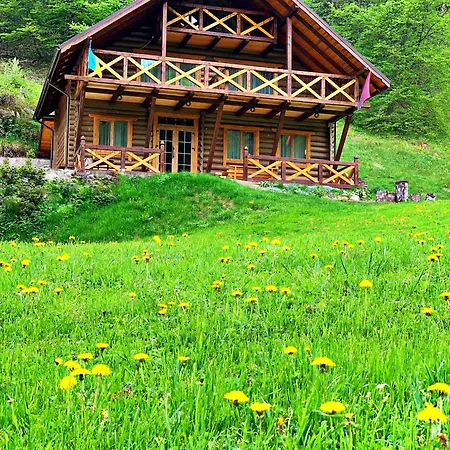 терношорська лада