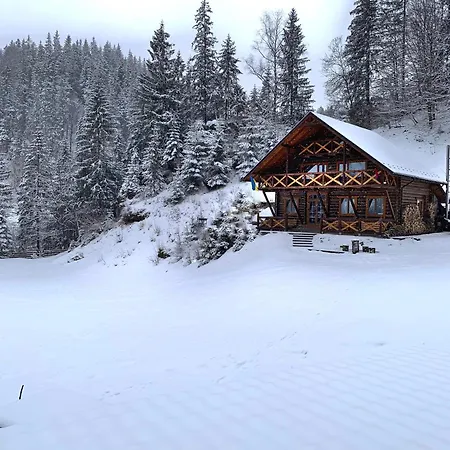 терношорська лада *