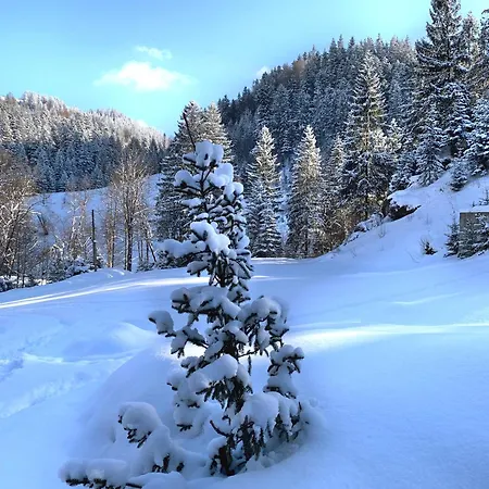 терношорська лада * Snidavka