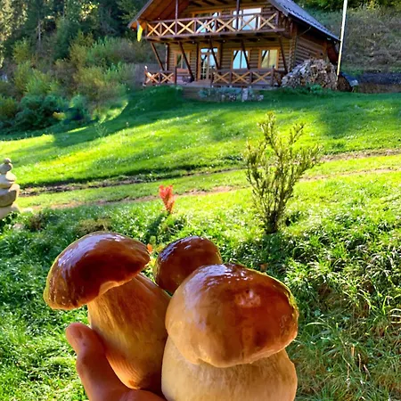 терношорська лада Ferienhaus *