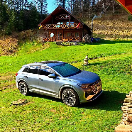 терношорська лада *