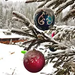 терношорська лада
