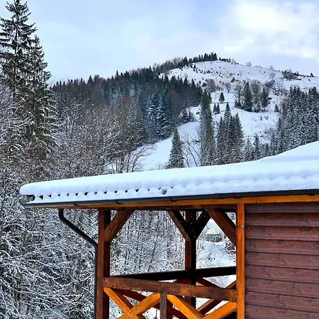 терношорська лада Snidavka