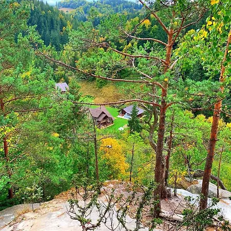 терношорська лада * Snidavka