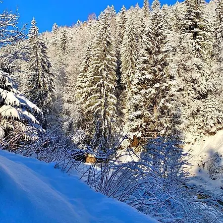 терношорська лада Сasa de vacaciones *