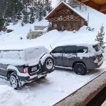 терношорська лада * Snidavka