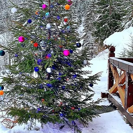 терношорська лада Snidavka