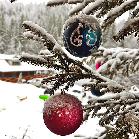 терношорська лада