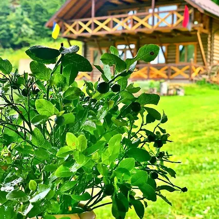 терношорська лада