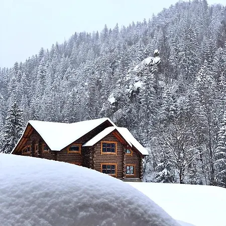 терношорська лада