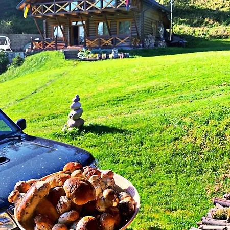 терношорська лада * Snidavka