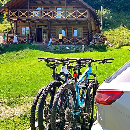 терношорська лада Snidavka