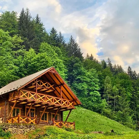 терношорська лада * Snidavka